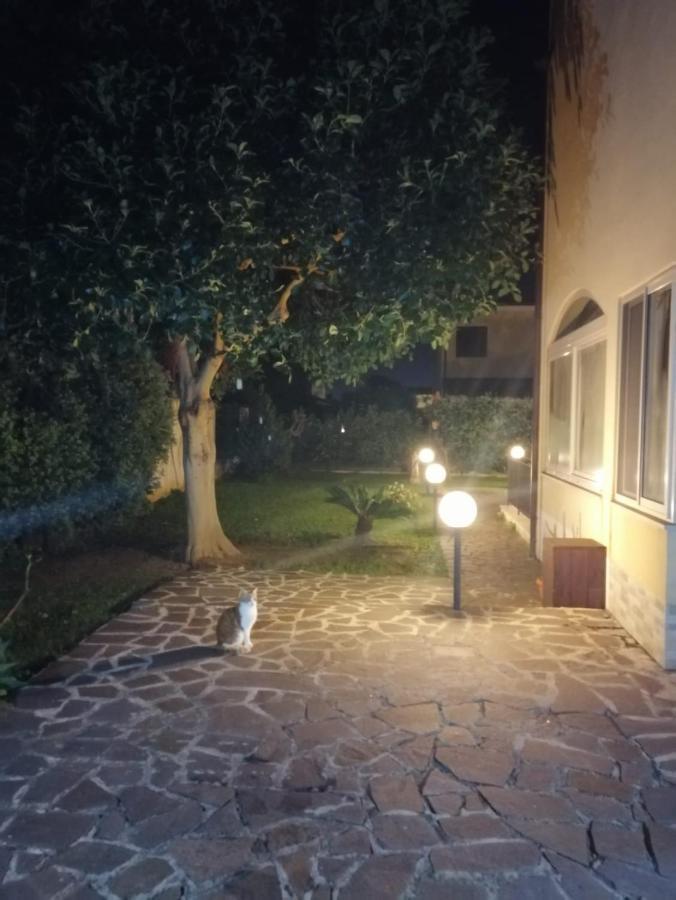 Villa Cavalluccio Marino Con Piscina Idromassaggio Carini Dış mekan fotoğraf